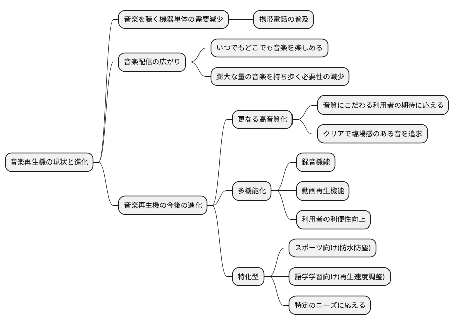 今後の展望